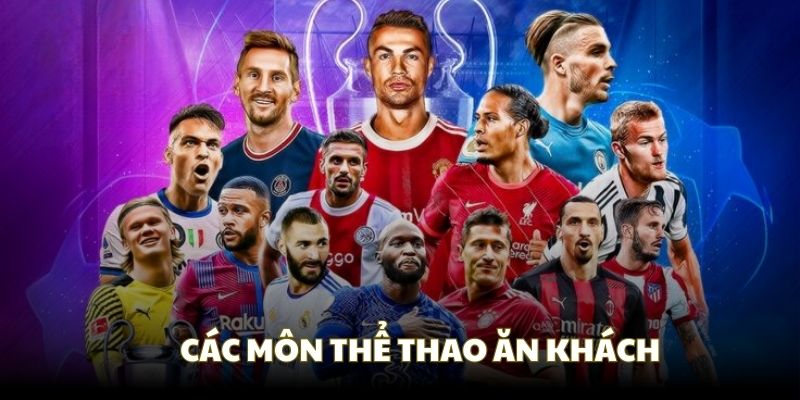 Các môn thể thao tại IM thể thao 789P