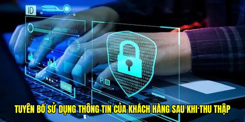 Chính sách bảo mật 789P thu thập thông tin