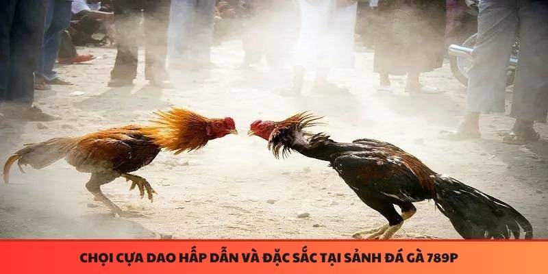 Đá gà 789P chọi gà cựa dao