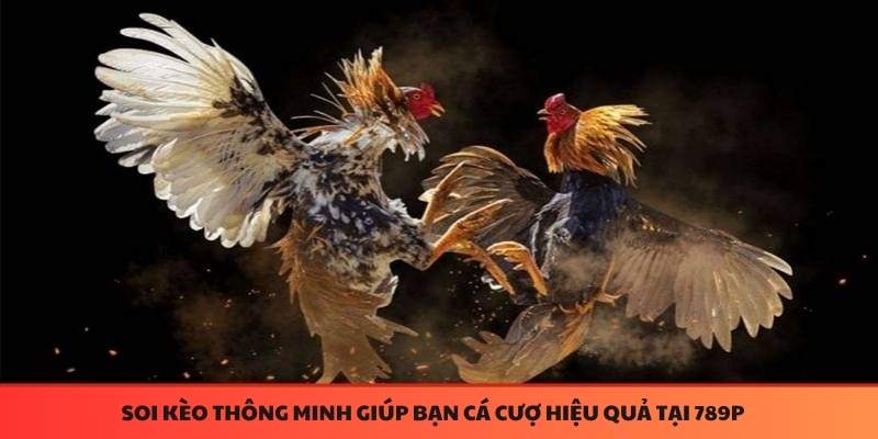 Đá gà 789P soi kèo thông minh