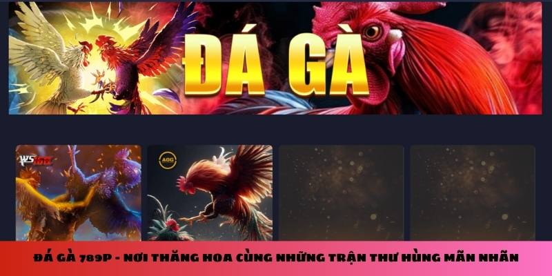 Sảnh đá gà 789P 2025